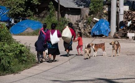 Tzotziles dejan municipios de Chiapas por temor a grupos armados