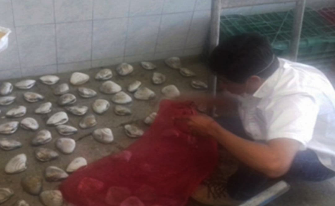 Foto: Profepa.gob.mx   