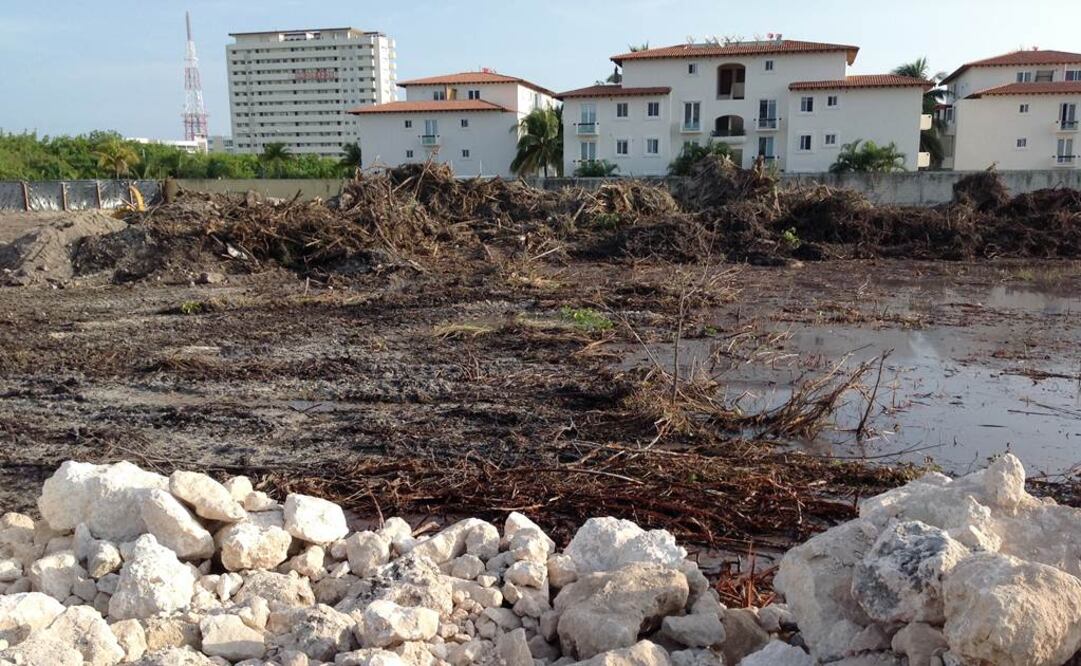 (Foto: Adriana Varillas/ EL UNIVERSAL)