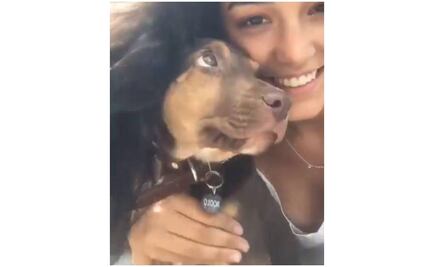 Hija de Bibi Gaytán dedica emotiva despedida a su perro Rocko 