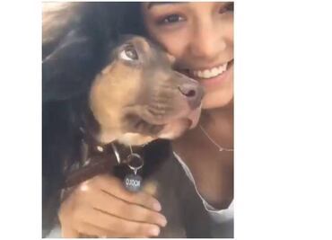 Hija de Bibi Gaytán dedica emotiva despedida a su perro Rocko