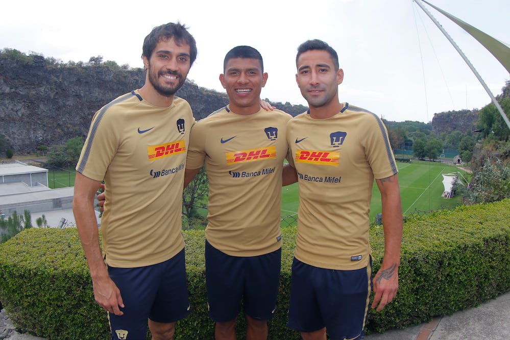 Imago7. Pumas