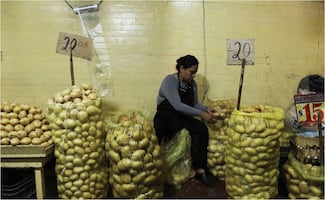 Papa blanca registra variaciones en su precio por alta demanda en temporada navideña; Profeco llama a comparar precios