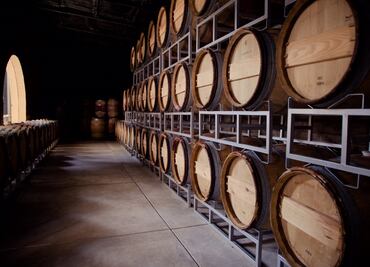 Vino Fest Aguascalientes 2019: catas, tours de viñedos y pisado de uvas