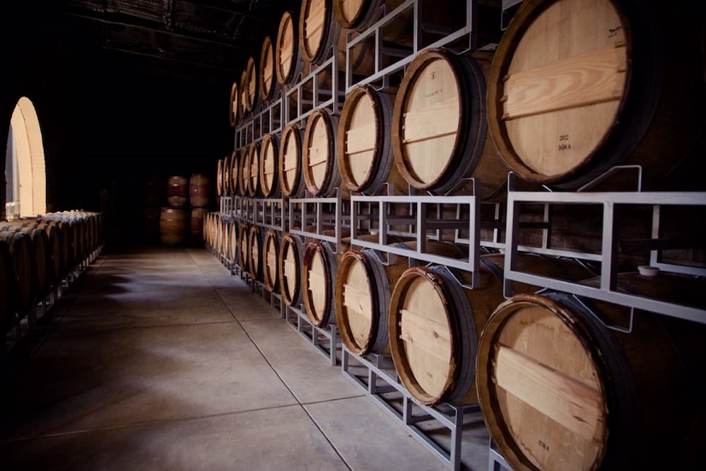 Aguascalientes ocupa la cuarta posición en la producción de vinos a nivel nacional. (Foto: Cortesía Viva Aguascalientes)