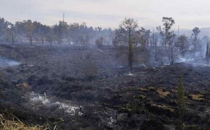 Tras casi 8 horas controlan incendio en Parque Ecológico de Xochimilco