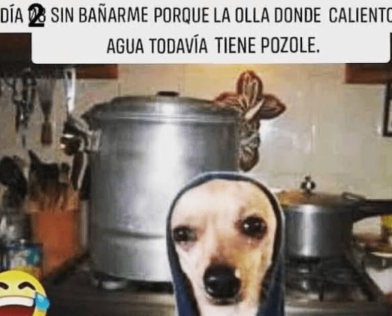 El confuso grito de independencia de AMLO y los berrinches del rey Carlos, en los memes de la semana