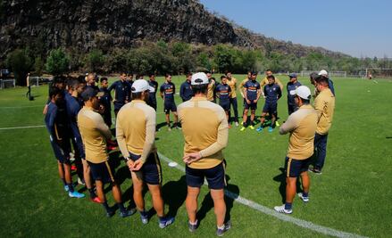 Los Pumas suspenden entrenamientos; personal trabaja desde casa
