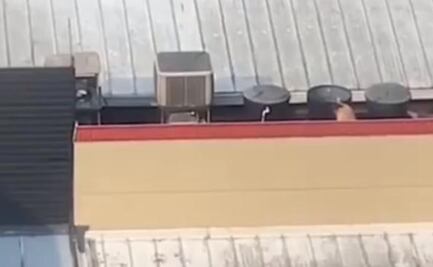 Graban a hombre 'bañándose' en tanque de Burger King; la compañía anuncia el cierra temporal del local VIDEO