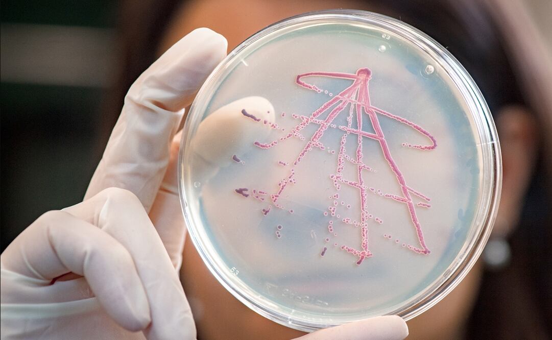 Foto: Andreas Heddergott / TUM