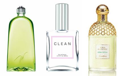 ¿Te marean los perfumes? Conoce las mejores alternativas con olor delicado