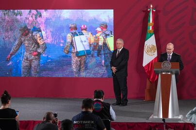 Atiende Protección Civil 73 incendios forestales en 16 estados 