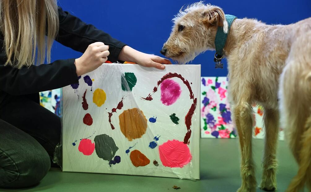 La perra rescatada Rosie participa en la actividad para subastar cuadros pintados por mascotas el 23 de noviembre de 2023 en el Animal Rescue Centre (ARC) de Bristol, en el oeste de Inglaterra. Foto: AFP