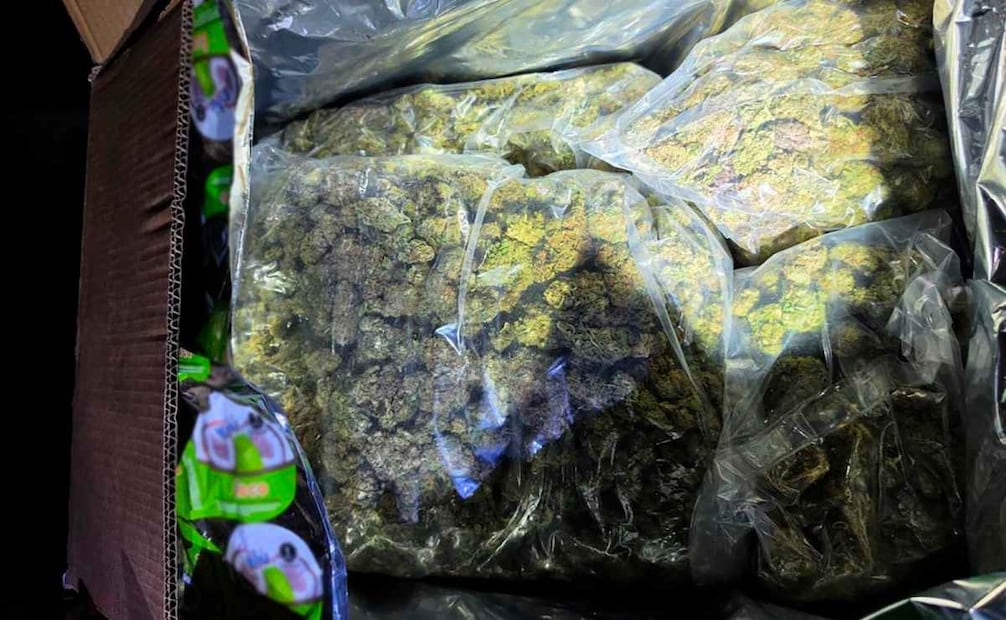 Aseguran cerca de dos toneladas de droga ocultas en empaques de dulces en Tabasco (31/08/2026). Foto: Gabinete de Seguridad