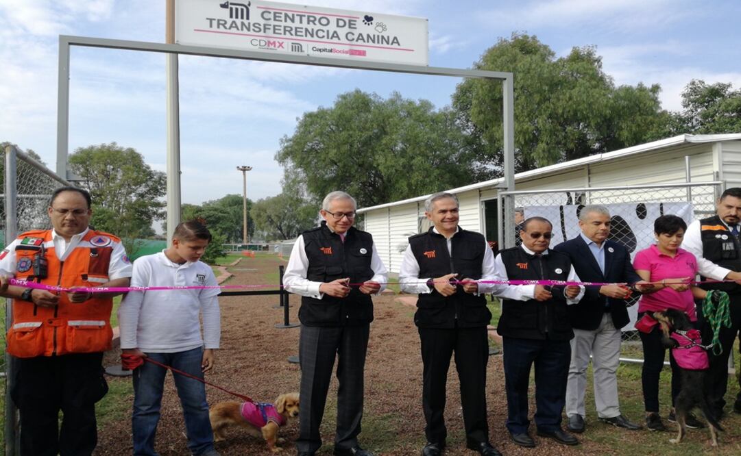 (Foto: Sistema de Transporte Colectivo Metro)
