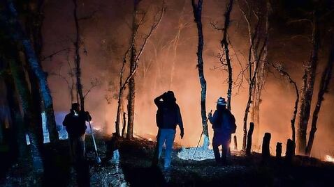 Prevalecen incendios; devastan bosques