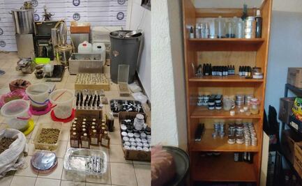 Desmantelan laboratorio clandestino de marihuana en Metepec