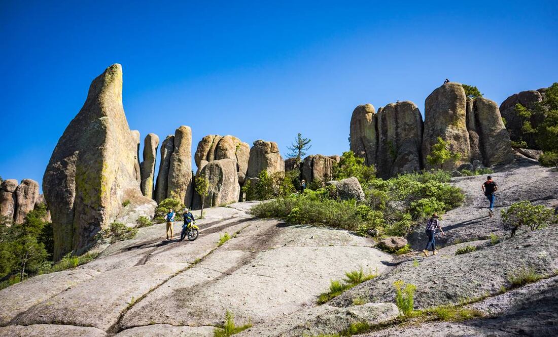 Foto: Fidetur ¡Ah Chihuahua!