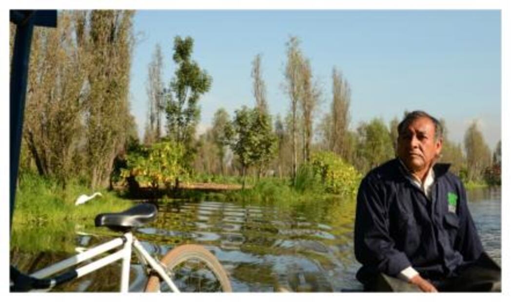 Restaurantes consumen más alimentos orgánicos de las chinampas