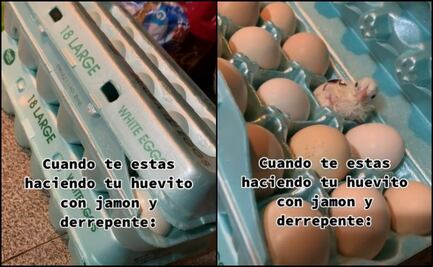 Como cuando quieres preparar un huevito con jamón y aparece ¡un pollito!