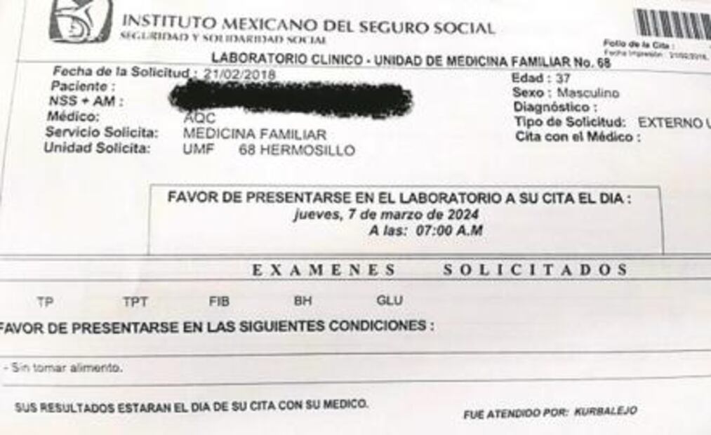 El Foco. ¡VIVA LA YERNOCRACIA! De la Casa Blanca a Rusia, pasando por Querétaro