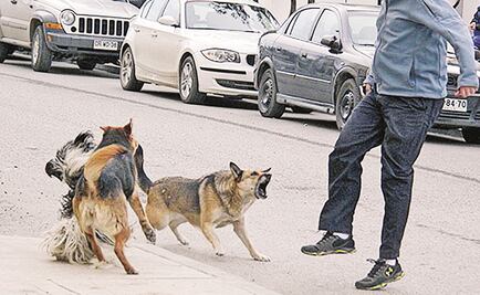 Matan a joven en Torreón; lo acusaban de envenenar perros