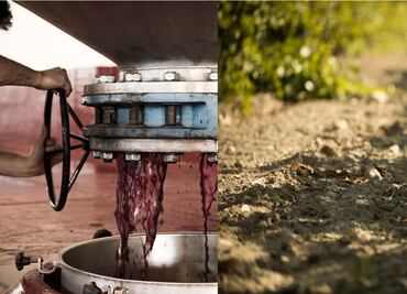 Hospédate y bebe buen vino español en Abadía Retuerta