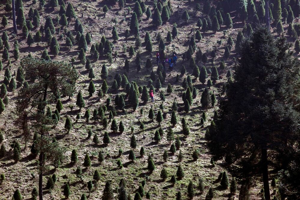 (Foto: Archivo / AP)