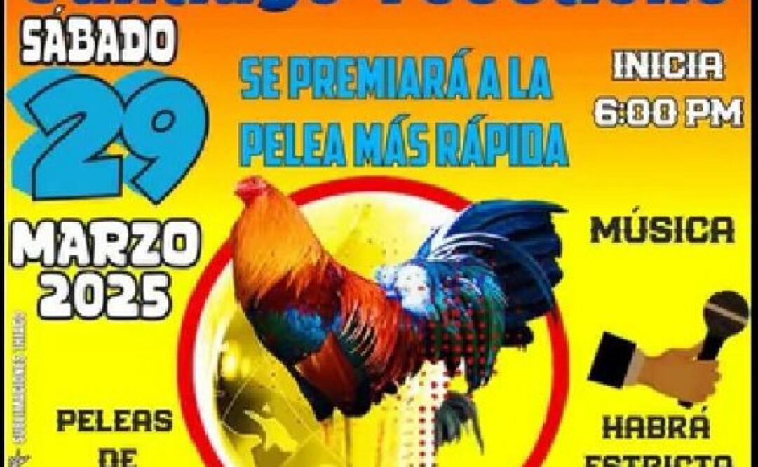 Primaria de Oaxaca organiza pelea de gallos para celebrar aniversario ejidal. Foto: Especial