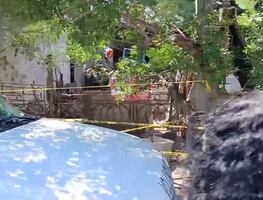 Perros atacan y matan a bebé de seis meses en Matamoros, Tamaulipas; los canes están bajo custodia