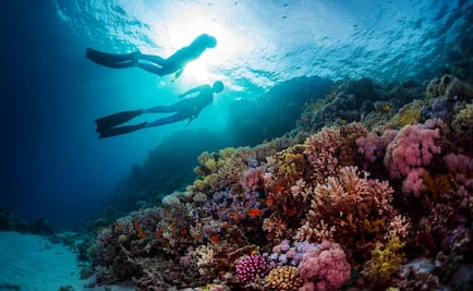 Belice: lo que debes saber para nadar en la Barrera Arrecifal Mesoamericana