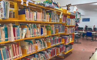 Chimalhuacán y Coyoacán: bibliotecas públicas a la deriva en dos extremos del Valle de México 