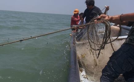 Localizan cadáver de pescador desaparecido en Ahome, Sinaloa; continúa búsqueda de otros dos