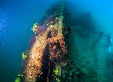 Registran submarino de la Primera Guerra Mundial en costas mexicanas