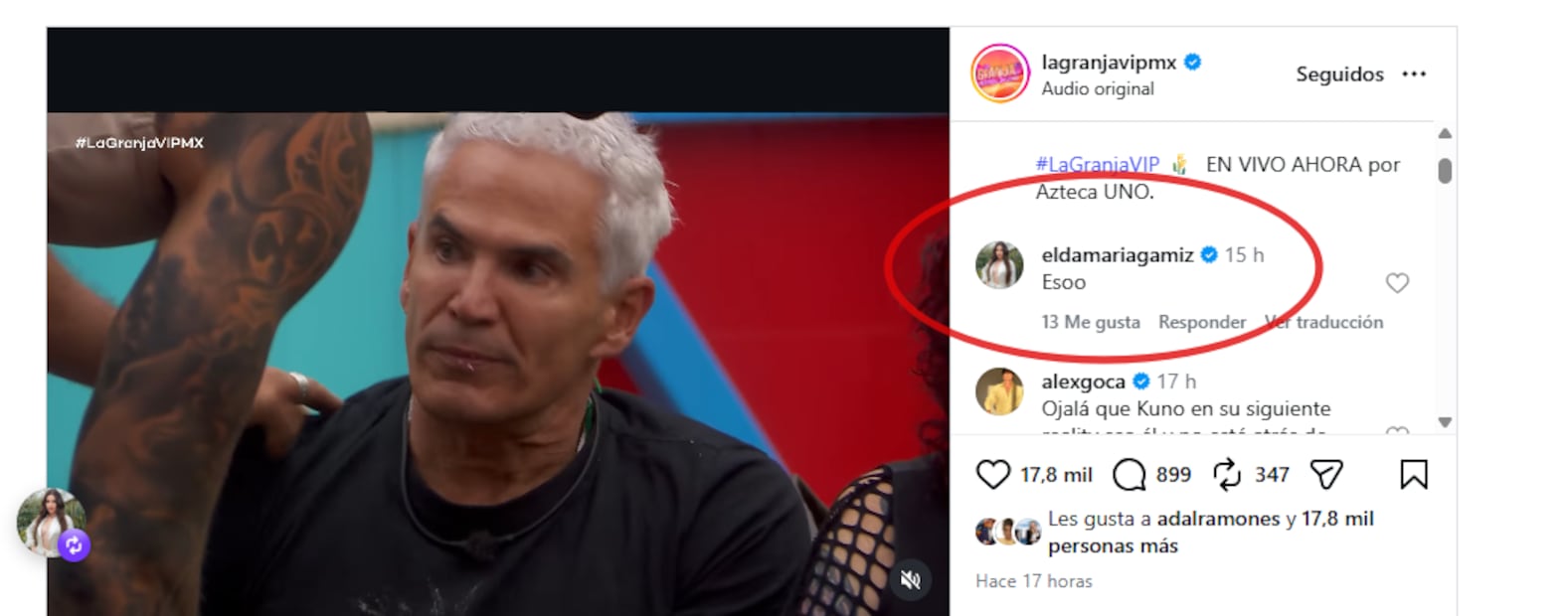 Elda María, exesposa de Rafa Mercadante, comenta post de "La granja VIP".
Foto: Instagram / Captura de pantalla