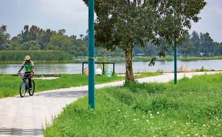 Aumentan metros cuadrados de áreas verdes por chilango