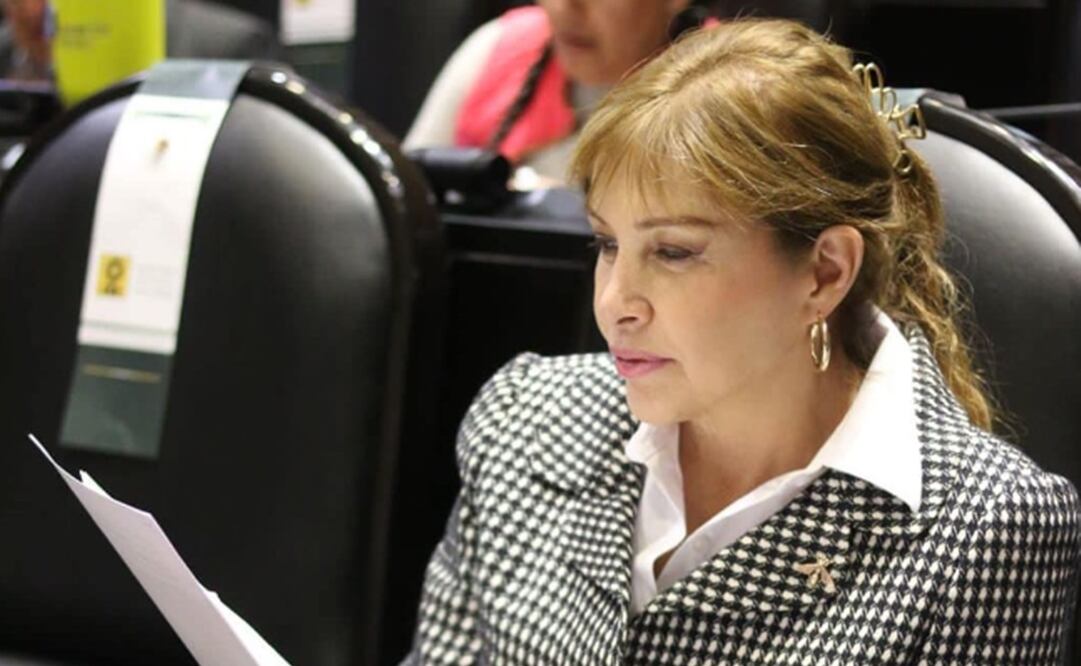 Diputada Gabriela Sodi, del PRD. Foto: Instagram @sodigabriela
