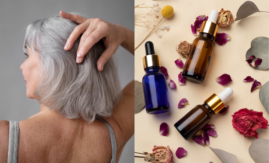 El uso de aceites naturales es clave para hidratar, dar brillo y mantener las canas saludables. Fotos: Freepik
