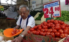 Jitomate sube hasta 60 pesos el kilo; familias recurren a puré de caja y ventas  caen 30%   