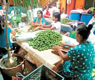 “El producto se mueve lento, se vende poco, pero allí vamos”