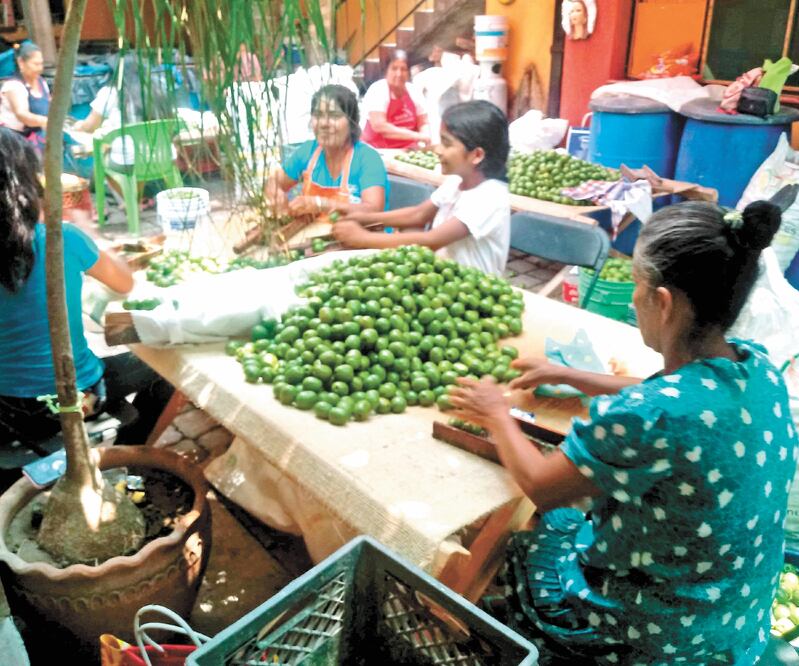 La empresa de Casimira se especializa en dulces curtidos con frutas de la región. Fotos: ROSELIA CHACA. EL UNIVERSAL