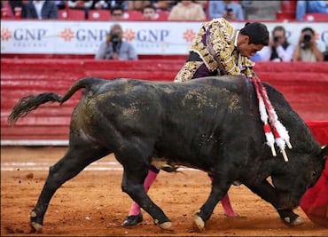 Un gran Compadre facilita a Sergio Flores la Oreja de Oro en la México