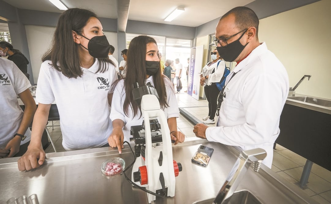 Más de 330 mil alumnos reinician cursos en aulas. Foto: ESPECIAL
