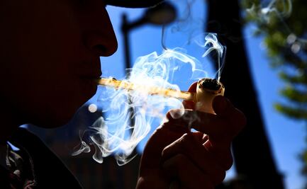 ¿Cuánto cuestan 28 gramos de marihuana y qué tan difícil será comprarlos?