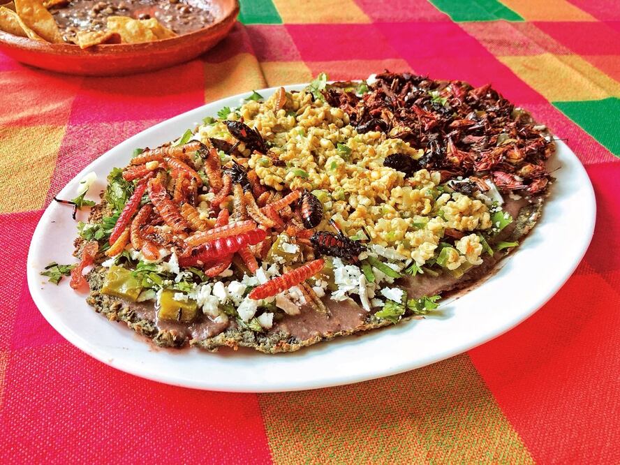 Esta no es la primera vez que se reconoce la riqueza de la gastronomía oaxaqueña / Foto: Archivo El Universal