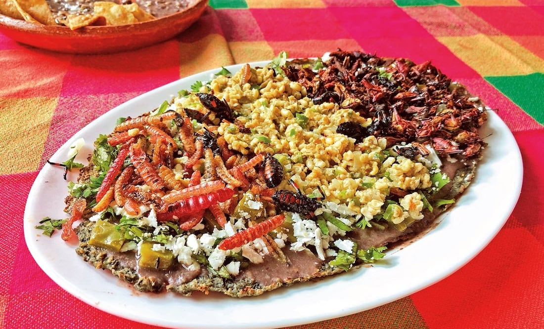 Esta no es la primera vez que se reconoce la riqueza de la gastronomía oaxaqueña / Foto: Archivo El Universal