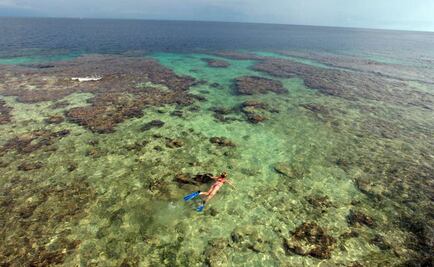 Utila, para sumergirse en el mar