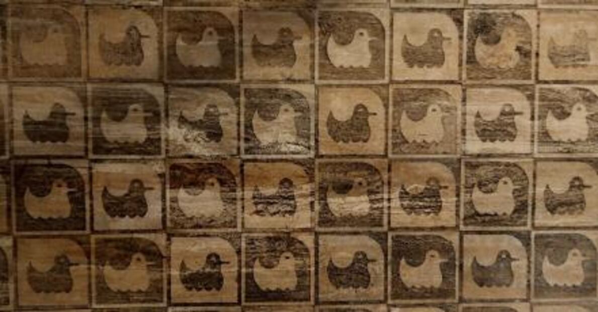 Candelaria de los Patos, zona marginada desde la época prehispánica