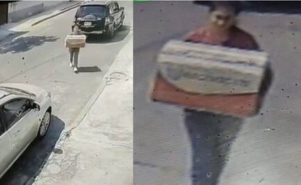 En video, captan a mujer que abandona cachorros y mueren asfixiados en la CDMX