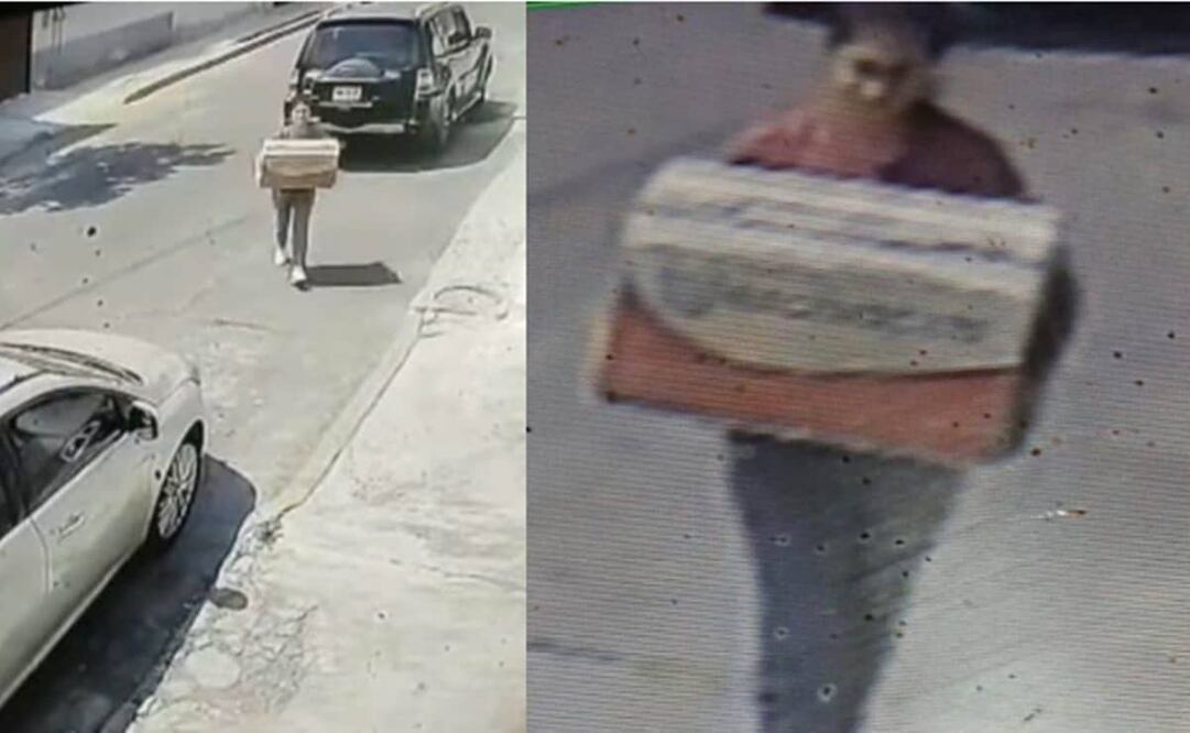 Los lomitos habrían muerto por el intenso calor de la capital. Foto: Tomada de video